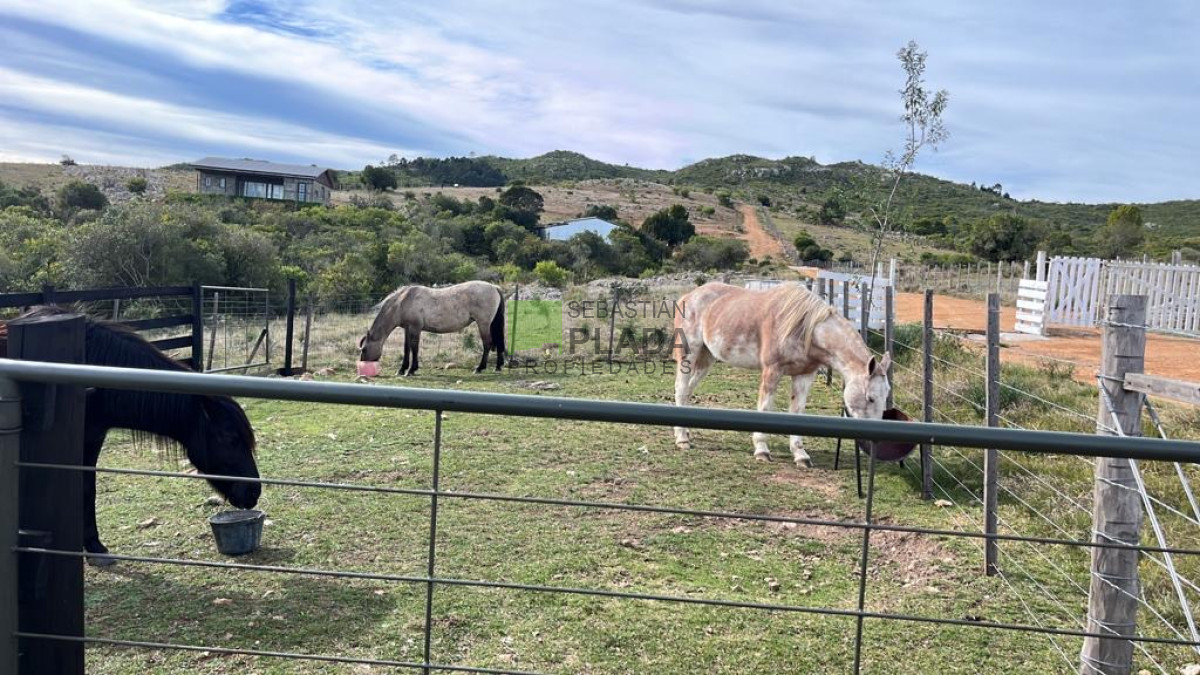 Chacra ID.822 - Venta de Chacra de Sierra 