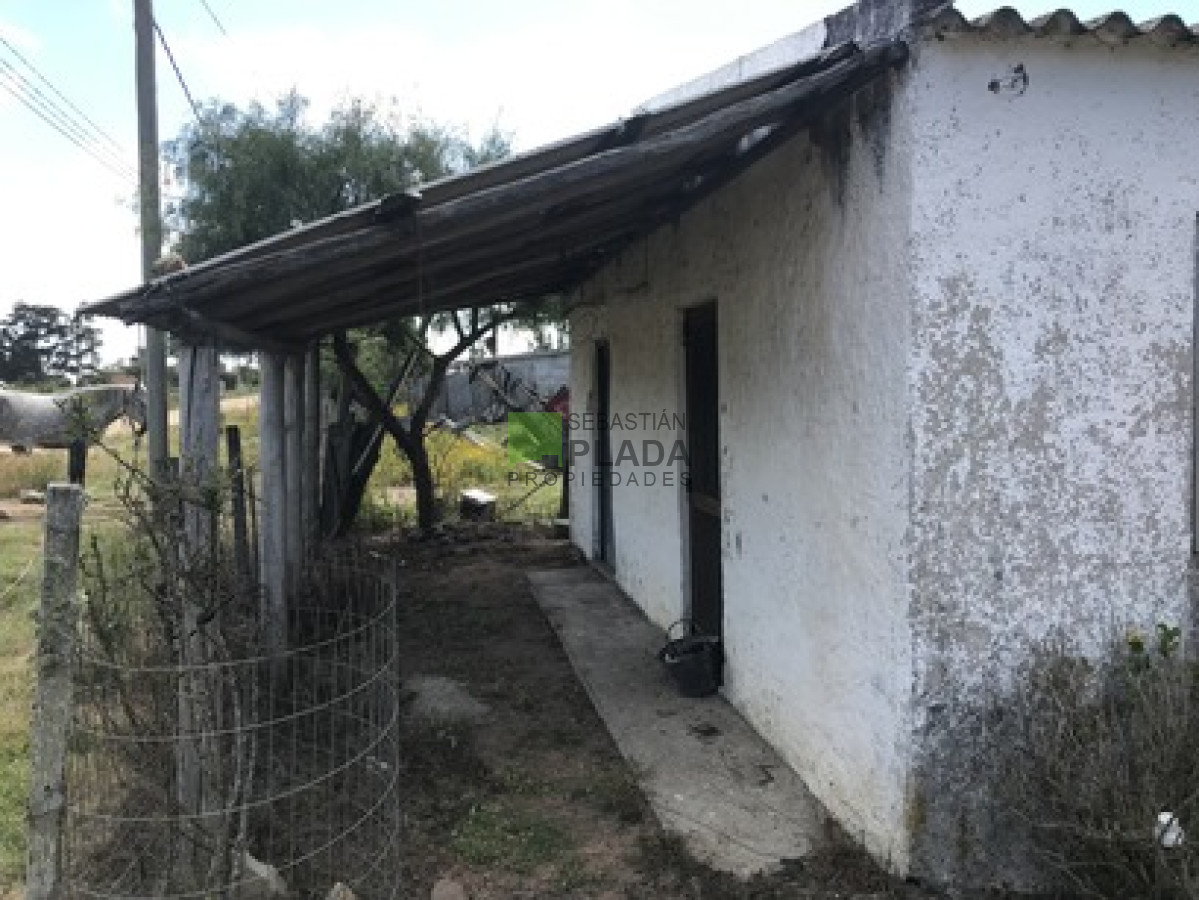 Chacra ID.110 - Chacra para horticultura o vivienda a 5 minutos del centro de San Carlos