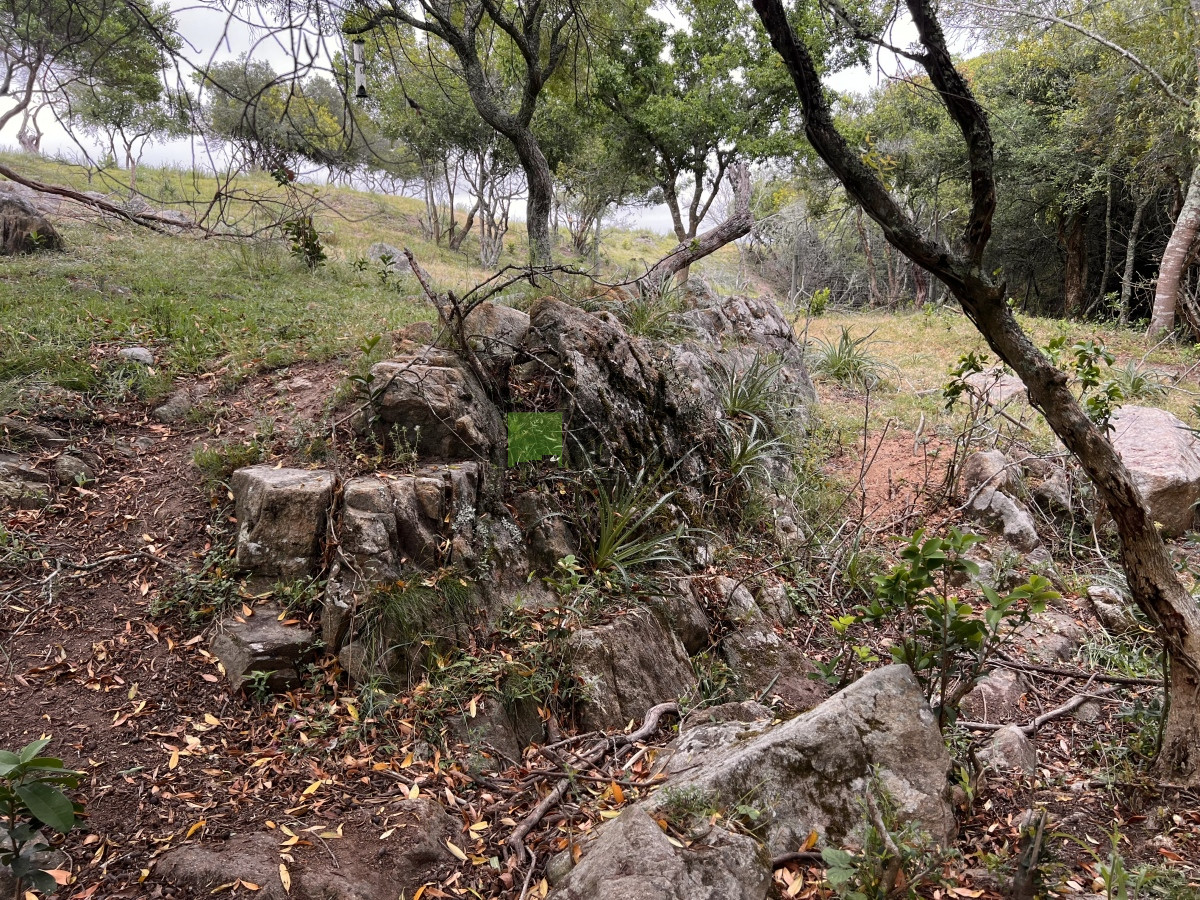 Chacra ID.822 - Venta de Chacra de Sierra 
