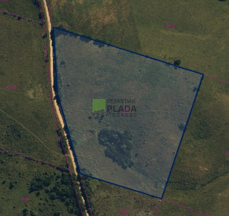 Chacra ID.1066 - Chacra 4 Hás 4061 m2, En Paso de la Cantera sobre Camino