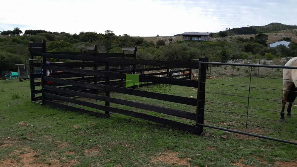 Chacra ID.822 - Venta de Chacra de Sierra 