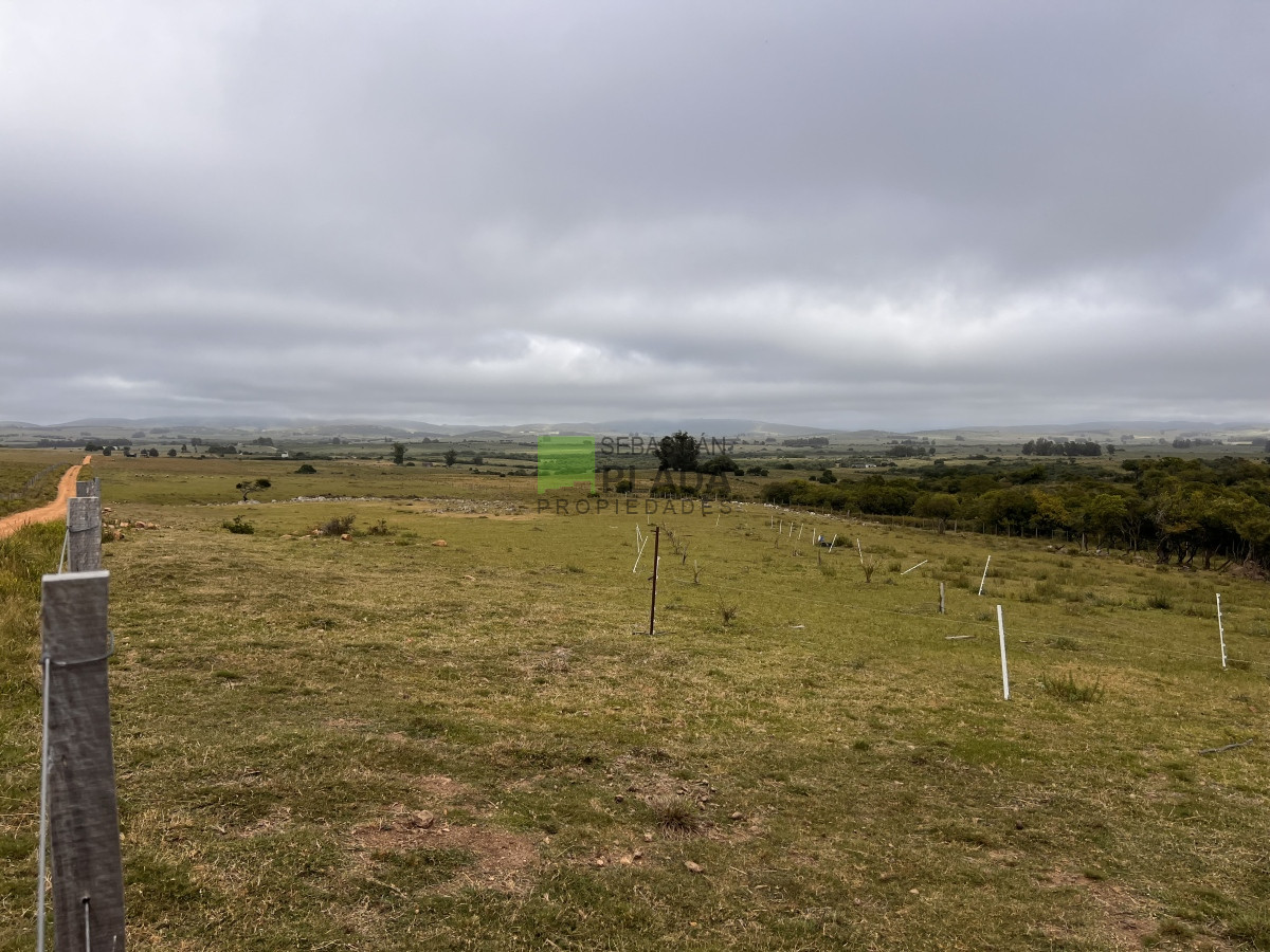 Chacra ID.822 - Venta de Chacra de Sierra 