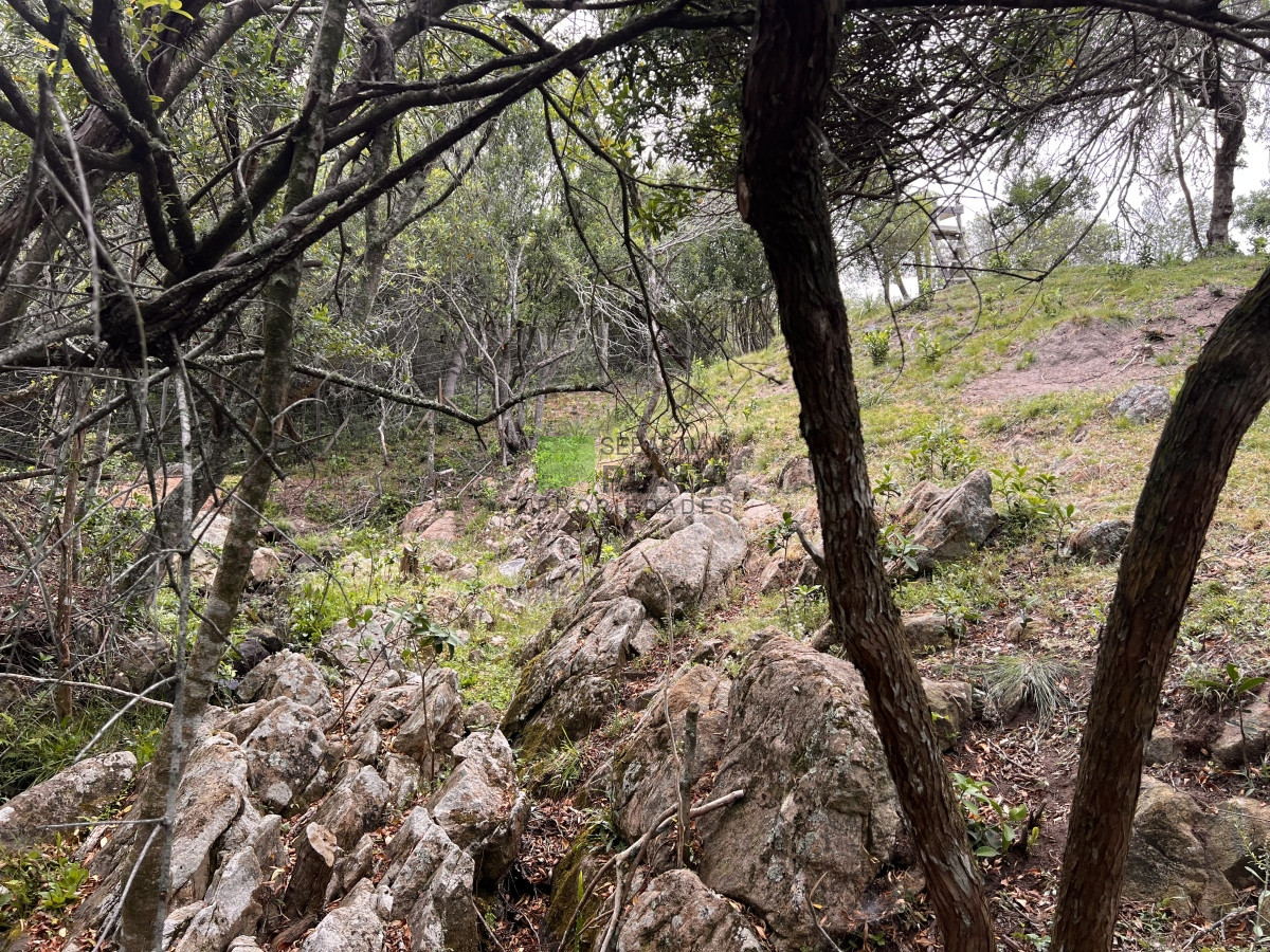 Chacra ID.822 - Venta de Chacra de Sierra 