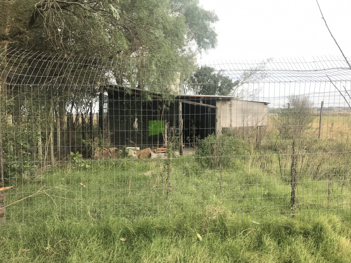 Chacra ID.176 - Chacra a 15 minutos de Punta del Este. 3 dormitorios, casita de huespedes, capacidad 10 personas