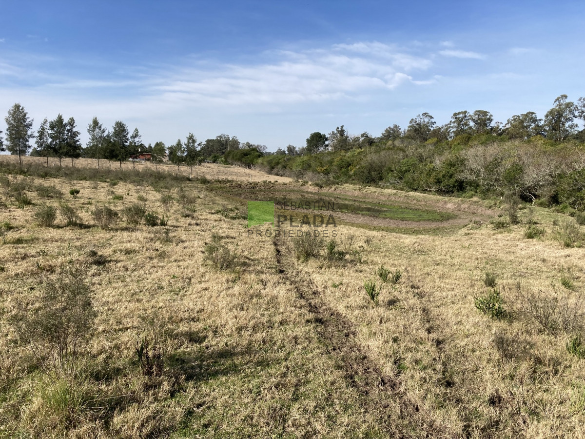 Chacra ID.774 - Chacra de 5 Hectáreas sobre Ruta 9