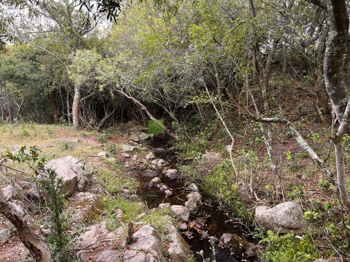 Chacra ID.822 - Venta de Chacra de Sierra 