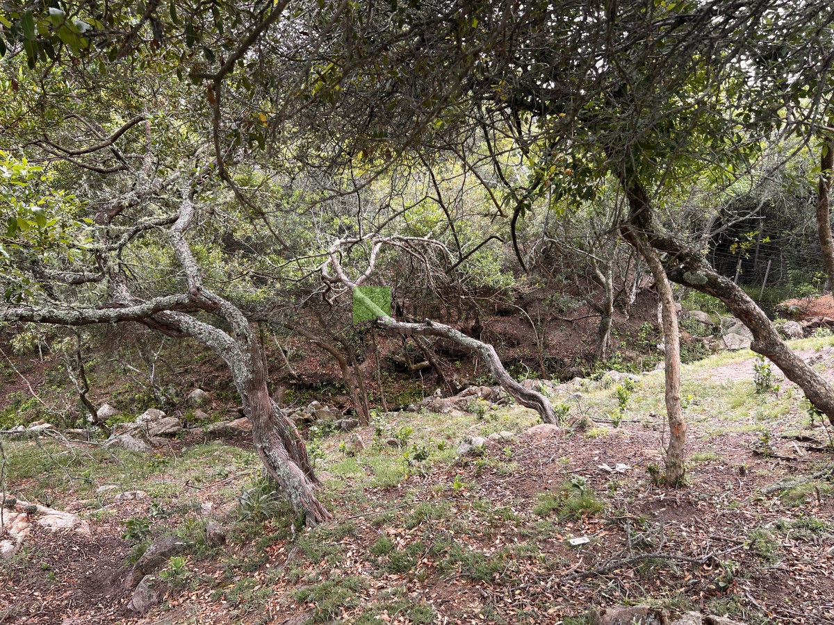 Chacra ID.822 - Venta de Chacra de Sierra 