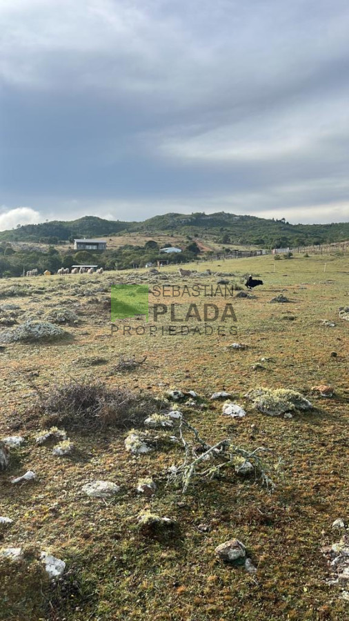 Chacra ID.822 - Venta de Chacra de Sierra 