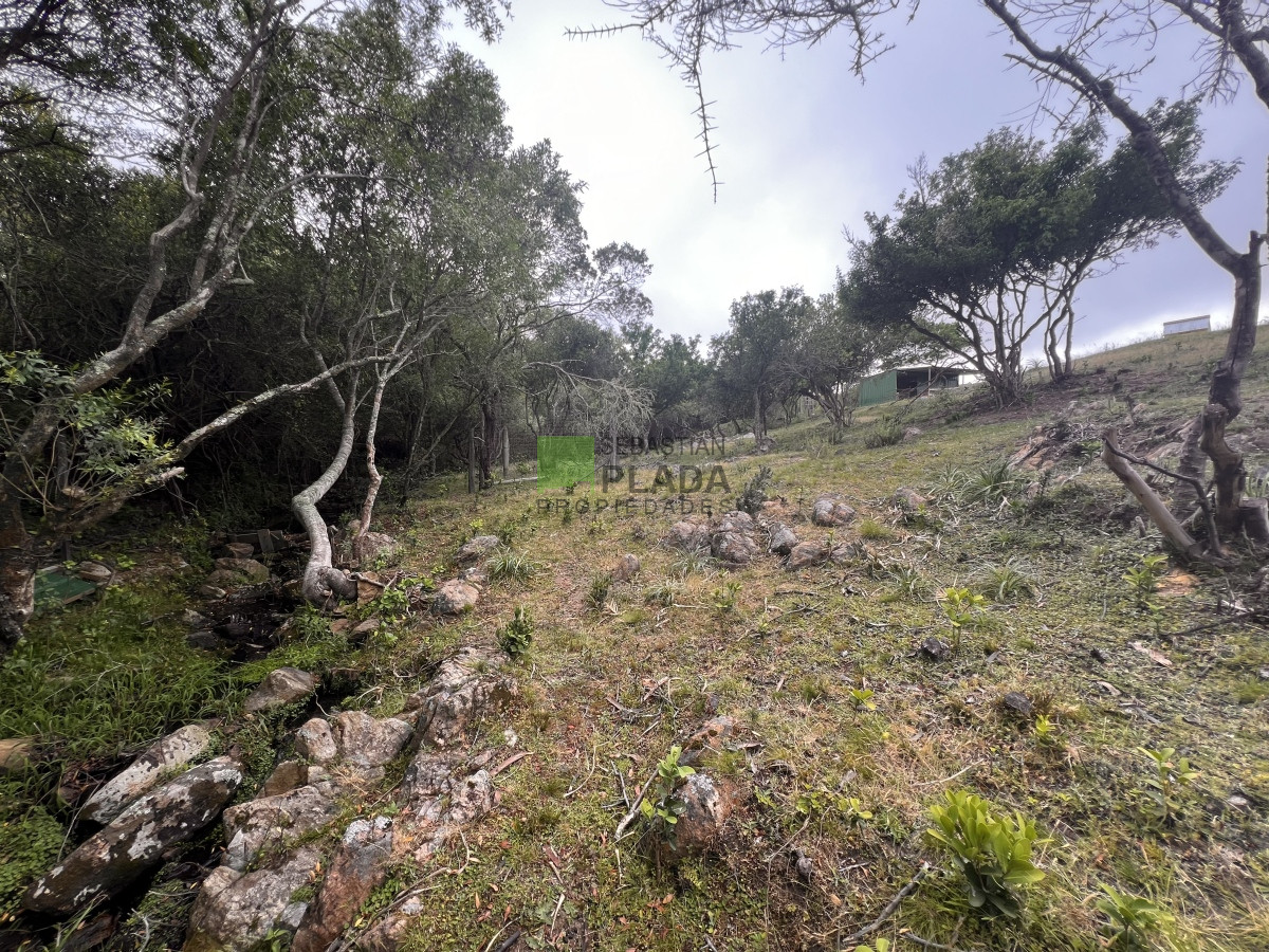 Chacra ID.822 - Venta de Chacra de Sierra 