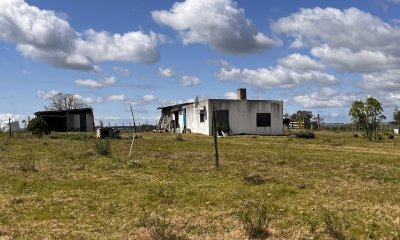 Chacra con construcciones, sobre asfalto a 10 kms. de Ruta 9