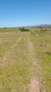 65 hás sobre ruta 39, con casco y arroyo - pld1006p