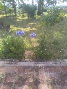 65 hás sobre ruta 39, con casco y arroyo - pld1006p