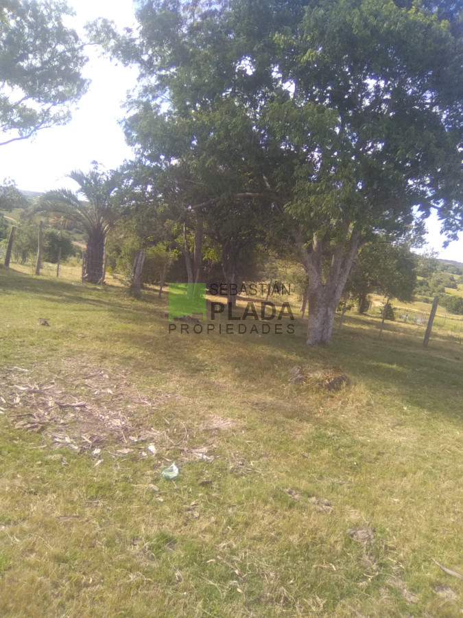 Campo Ref.1006 - 65 Hás sobre Ruta 39, con casco y arroyo