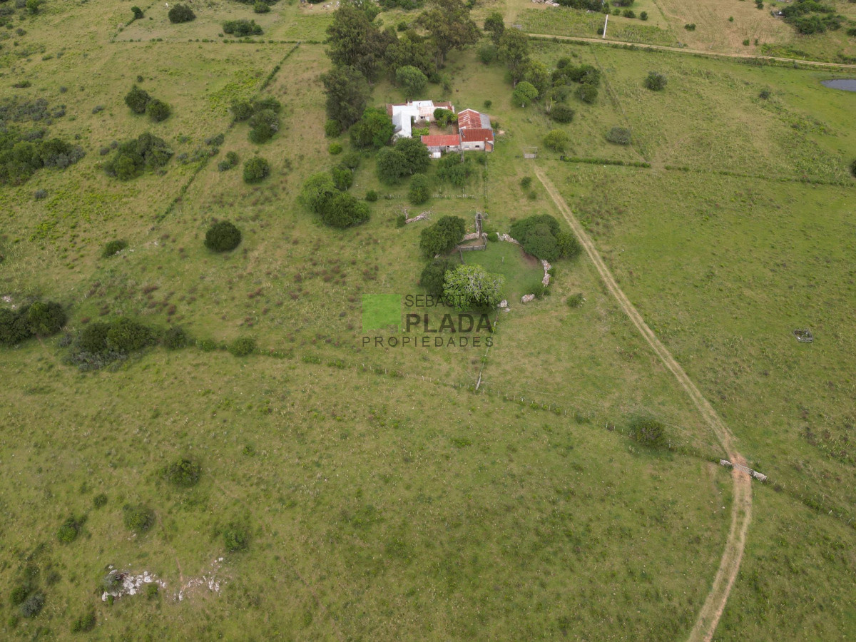 Campo Ref.1006 - 65 Hás sobre Ruta 39, con casco y arroyo