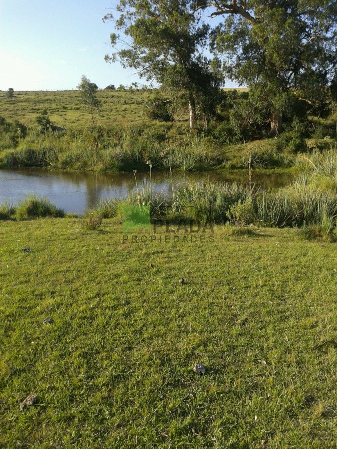 Campo Ref.54 - Muy lindo campo, con costas de arroyo