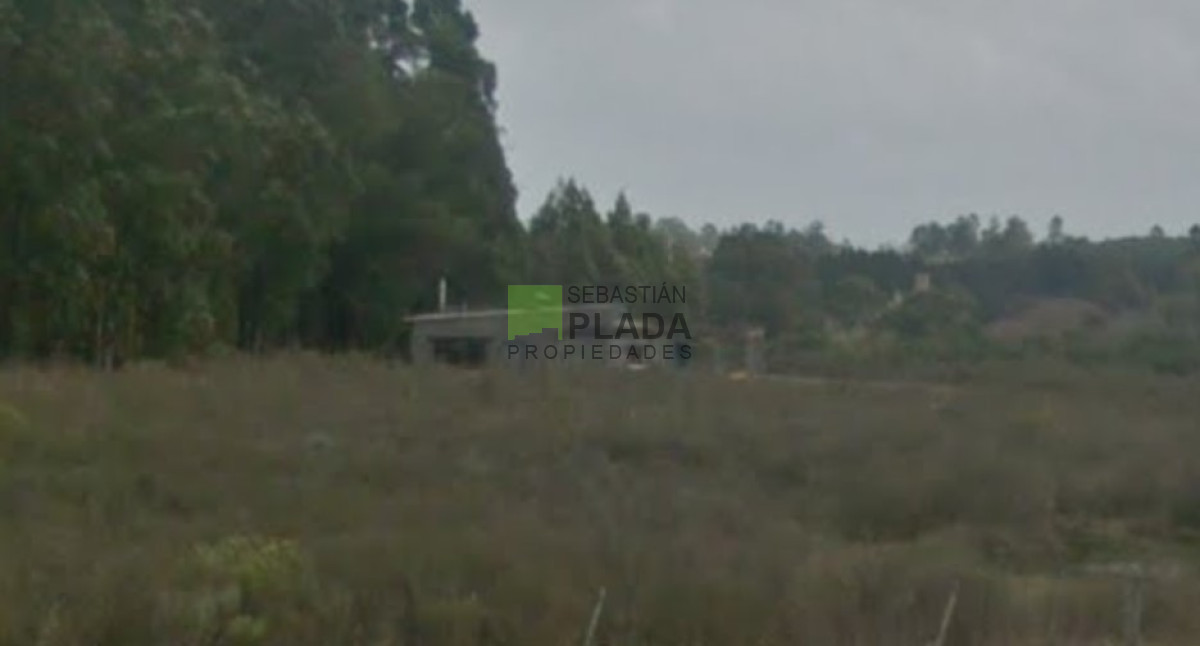Campo Ref.503 - Buena Fracción con arroyo sobre Ruta 9