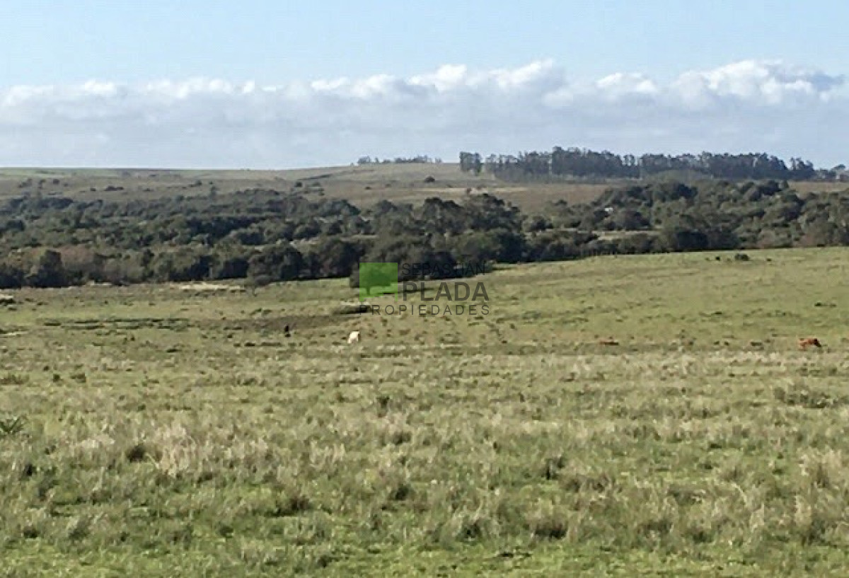 Campo Ref.587 -  Bajo de precio ! Buena fracción de campo de 23 Has. sobre Ruta 9.-