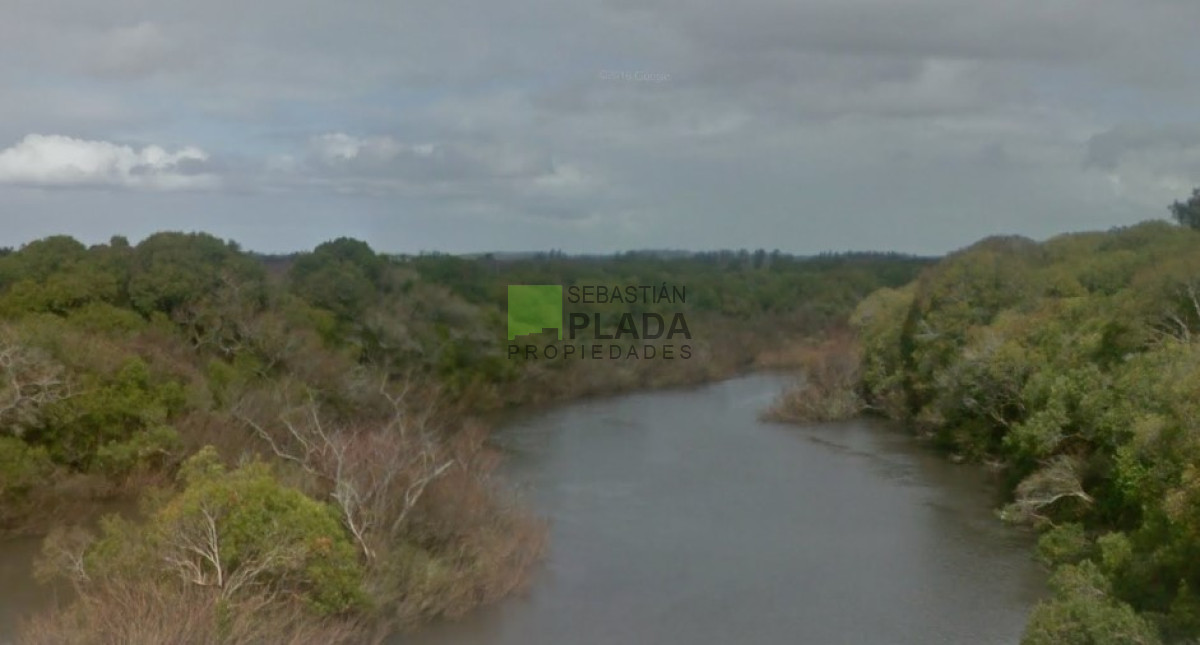 Campo Ref.503 - Buena Fracción con arroyo sobre Ruta 9