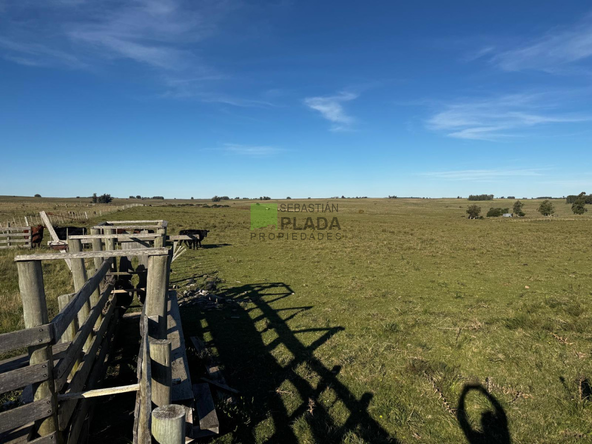 Campo Ref.993 - Fracción de Campo - 15 Hás - Cañada Bellaca