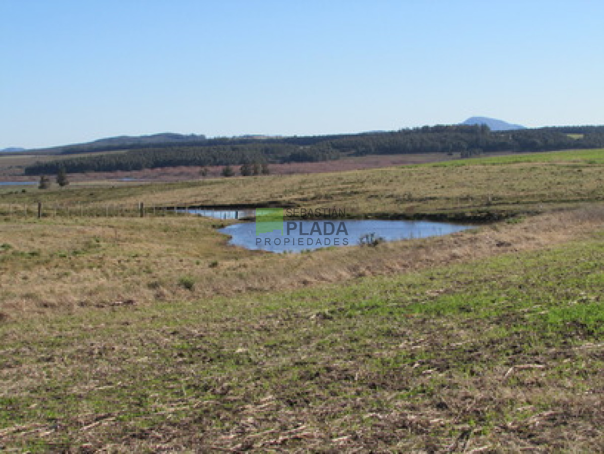 Campo Ref.65 - Muy linda Fracción con Vistas a Laguna del Sauce