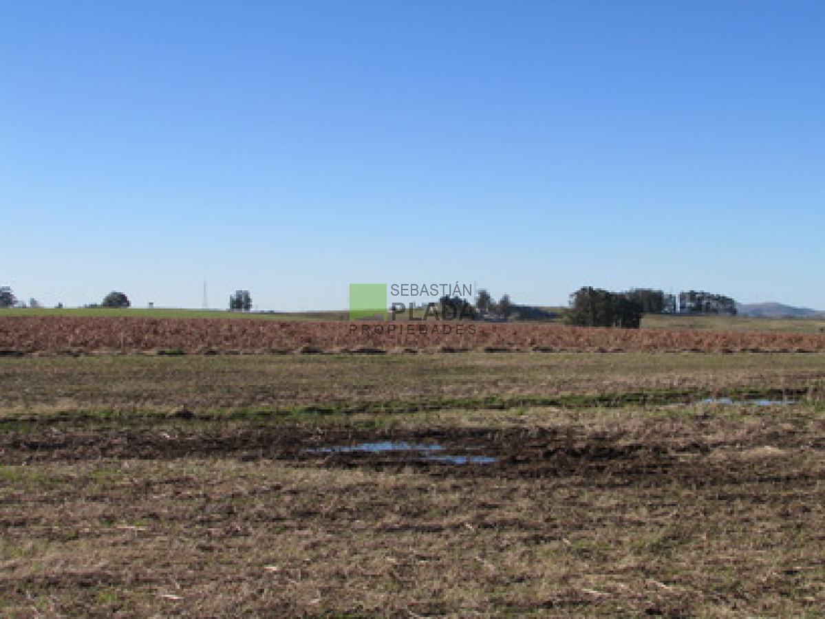 Campo Ref.65 - Muy linda Fracción con Vistas a Laguna del Sauce