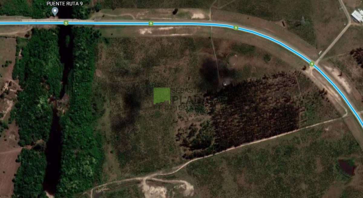 Campo Ref.503 - Buena Fracción con arroyo sobre Ruta 9