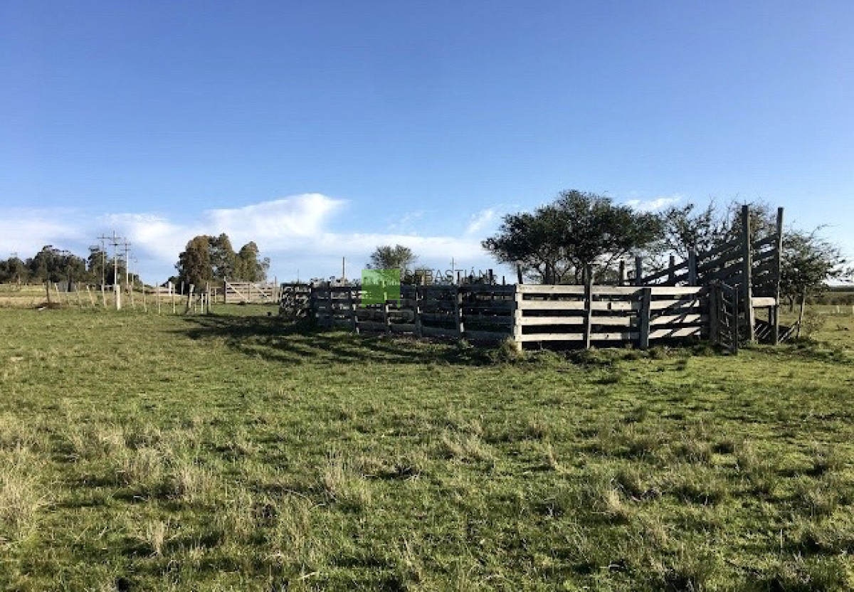 Campo Ref.587 -  Bajo de precio ! Buena fracción de campo de 23 Has. sobre Ruta 9.-