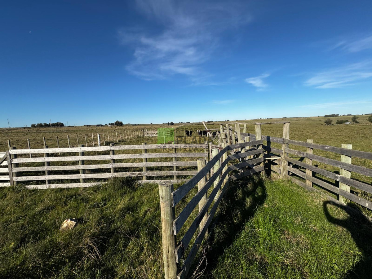 Campo Ref.993 - Fracción de Campo - 15 Hás - Cañada Bellaca