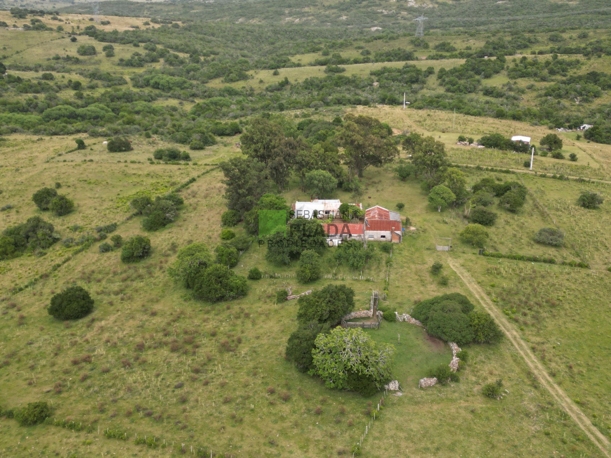 Campo Ref.1006 - 65 Hás sobre Ruta 39, con casco y arroyo