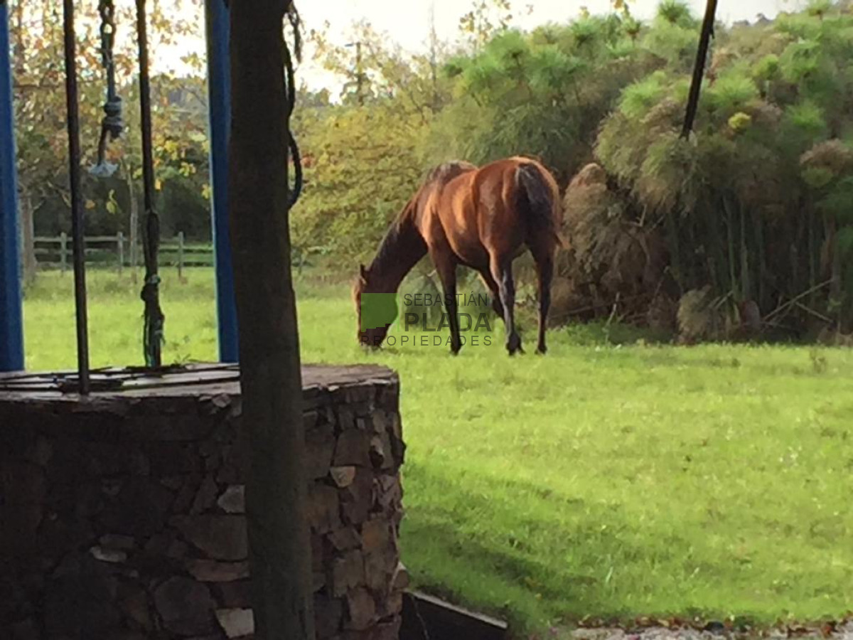 Campo Ref.479 - Chacras en Punta Ballena