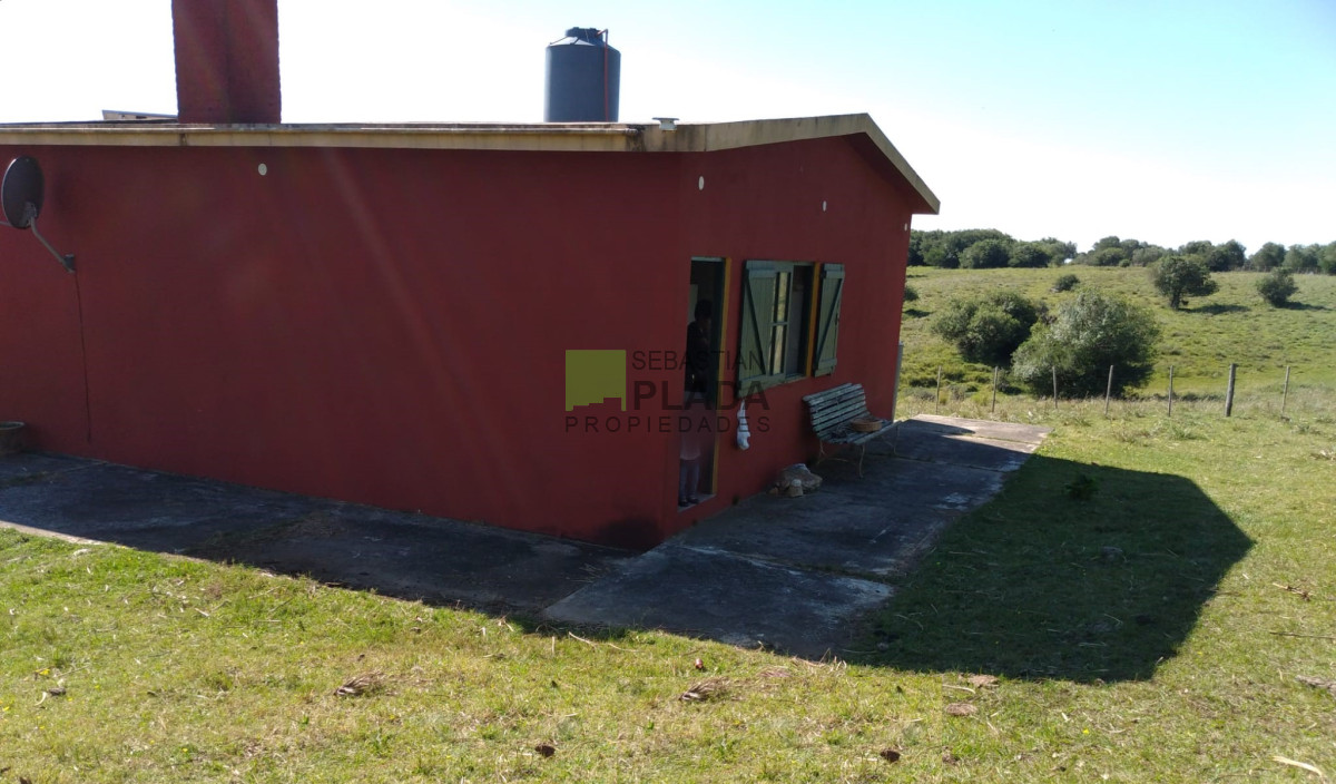 Campo Ref.763 - Fraccion de 41 Hás en Carapé, a 51 kms. de Punta del Este