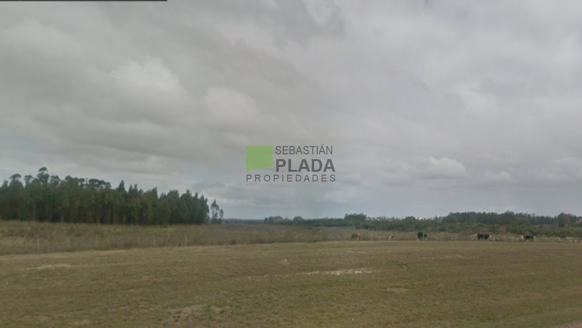 Campo Ref.503 - Buena Fracción con arroyo sobre Ruta 9