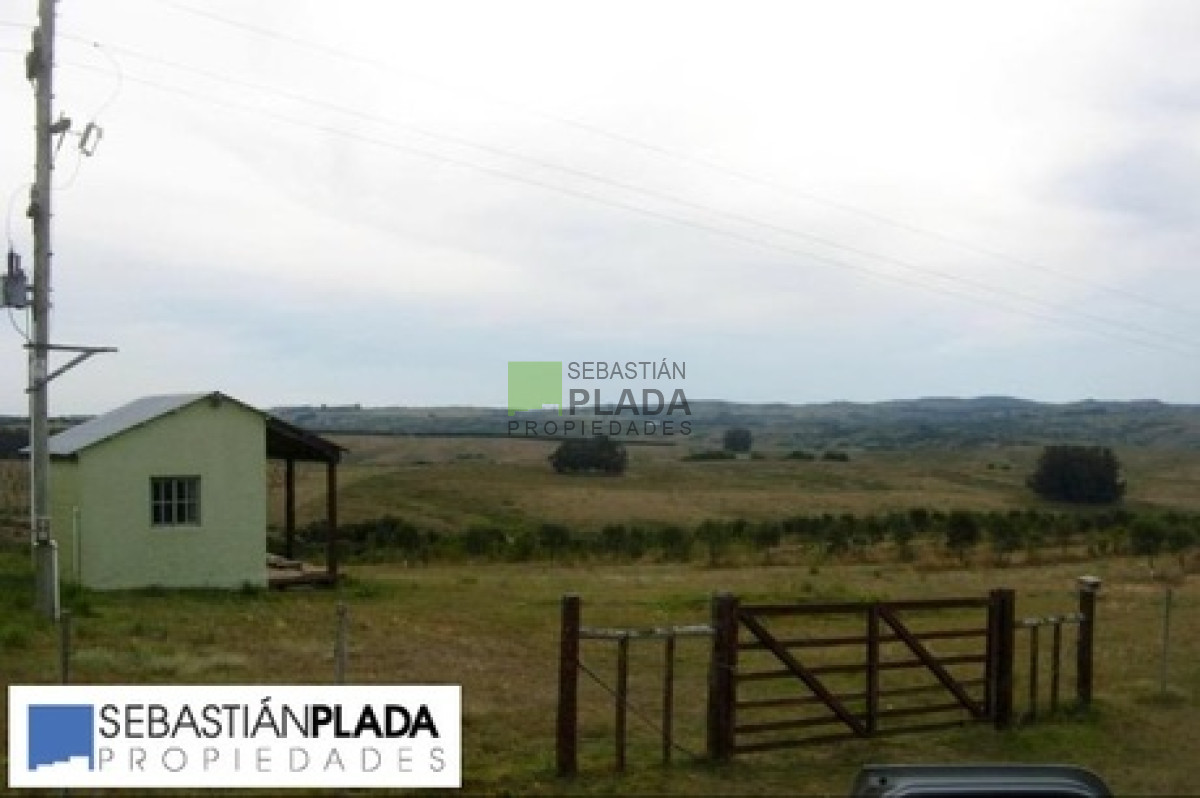 Campo Ref.64 - Campo en Pueblo Eden, 