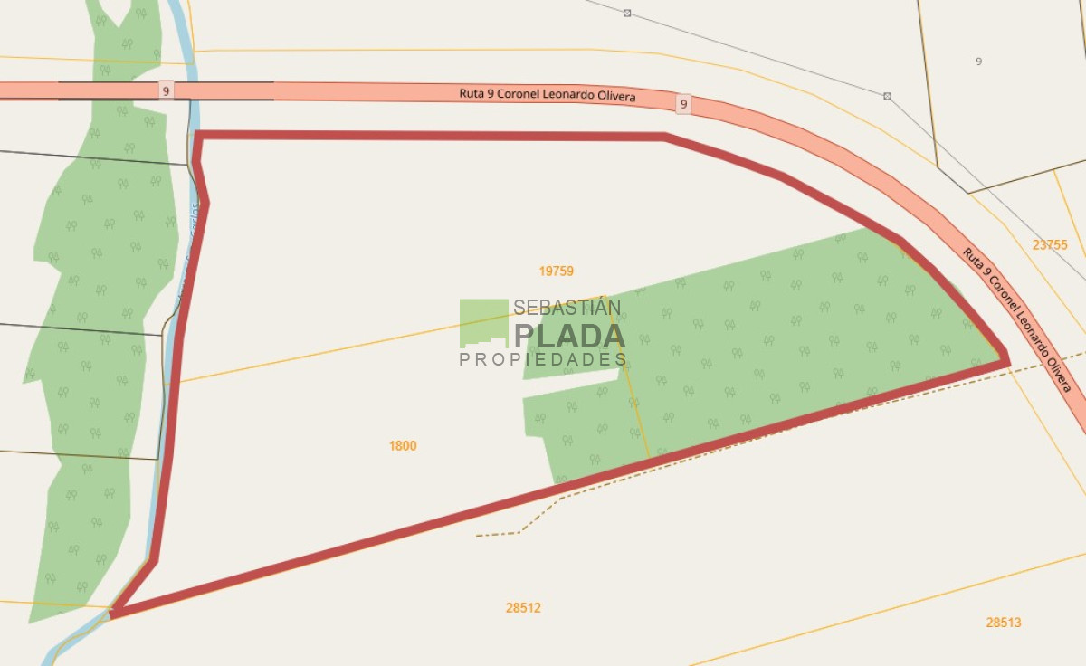 Campo Ref.503 - Buena Fracción con arroyo sobre Ruta 9
