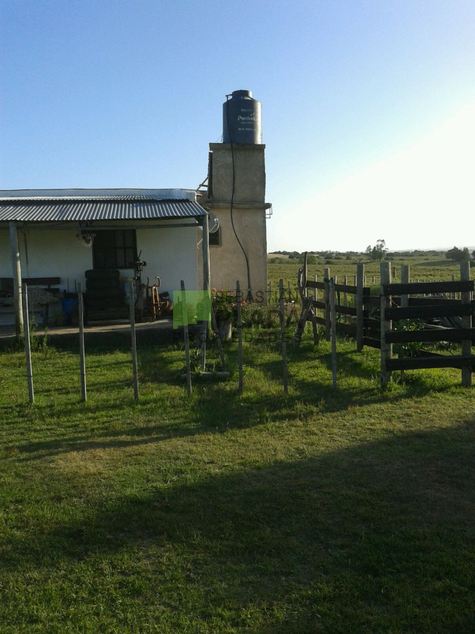 Campo Ref.54 - Muy lindo campo, con costas de arroyo