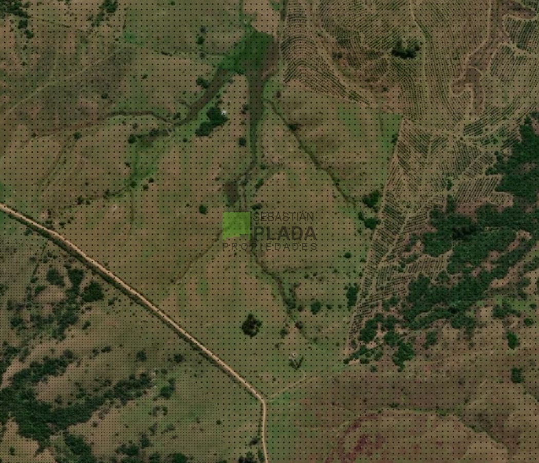 Campo Ref.763 - Fraccion de 41 Hás en Carapé, a 51 kms. de Punta del Este