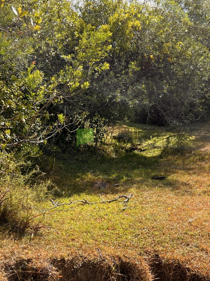 Campo Ref.750 - Interesante fracción de 128 Hás en Las Cañas