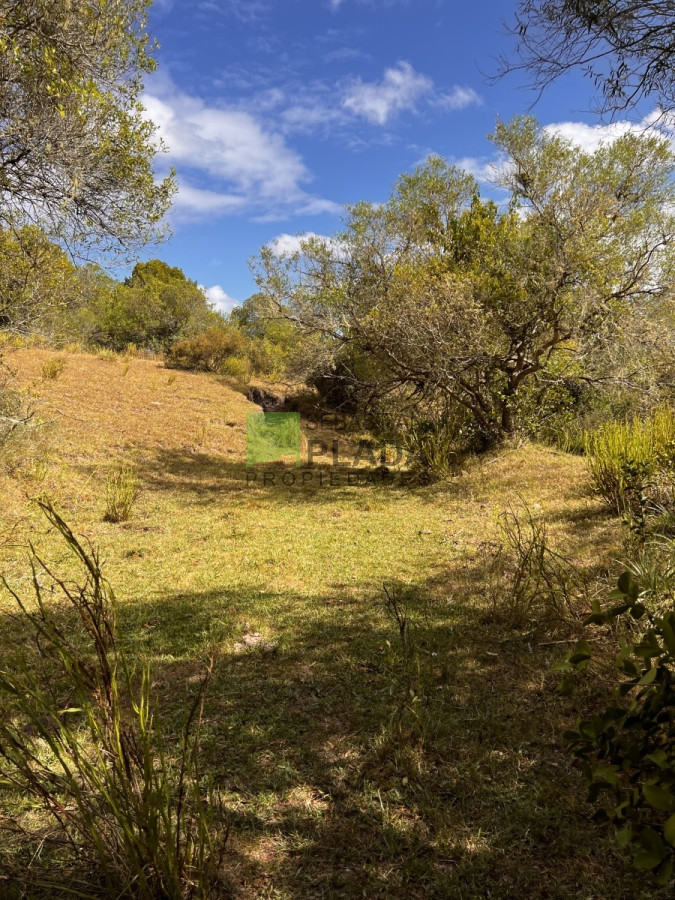 Campo Ref.750 - Interesante fracción de 128 Hás en Las Cañas