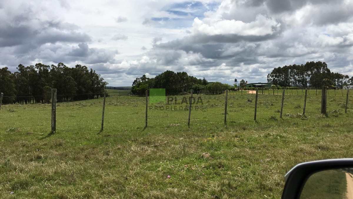 Campo Ref.14 - 10.6 Hás en José Ignacio