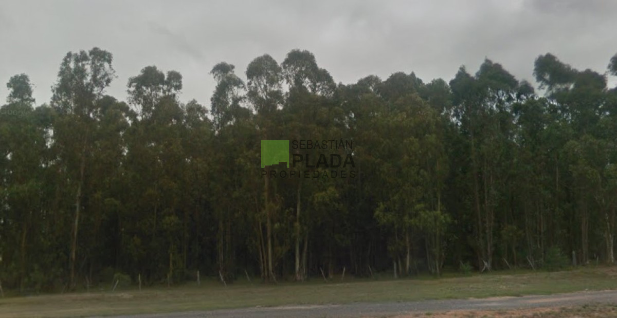 Campo Ref.503 - Buena Fracción con arroyo sobre Ruta 9