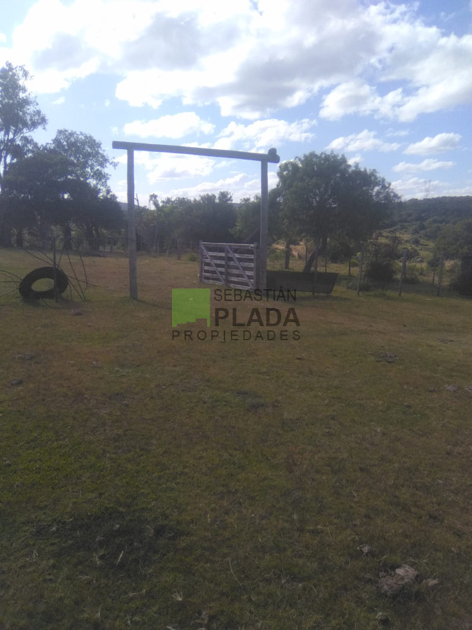 Campo Ref.1006 - 65 Hás sobre Ruta 39, con casco y arroyo
