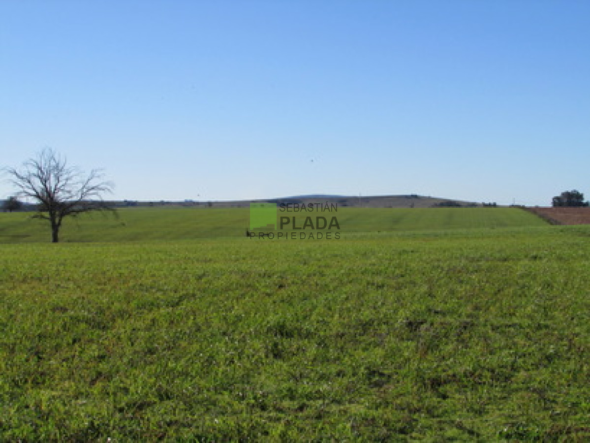 Campo Ref.65 - Muy linda Fracción con Vistas a Laguna del Sauce