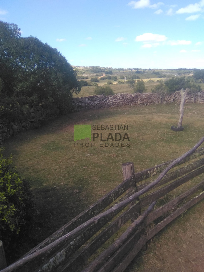 Campo Ref.1006 - 65 Hás sobre Ruta 39, con casco y arroyo