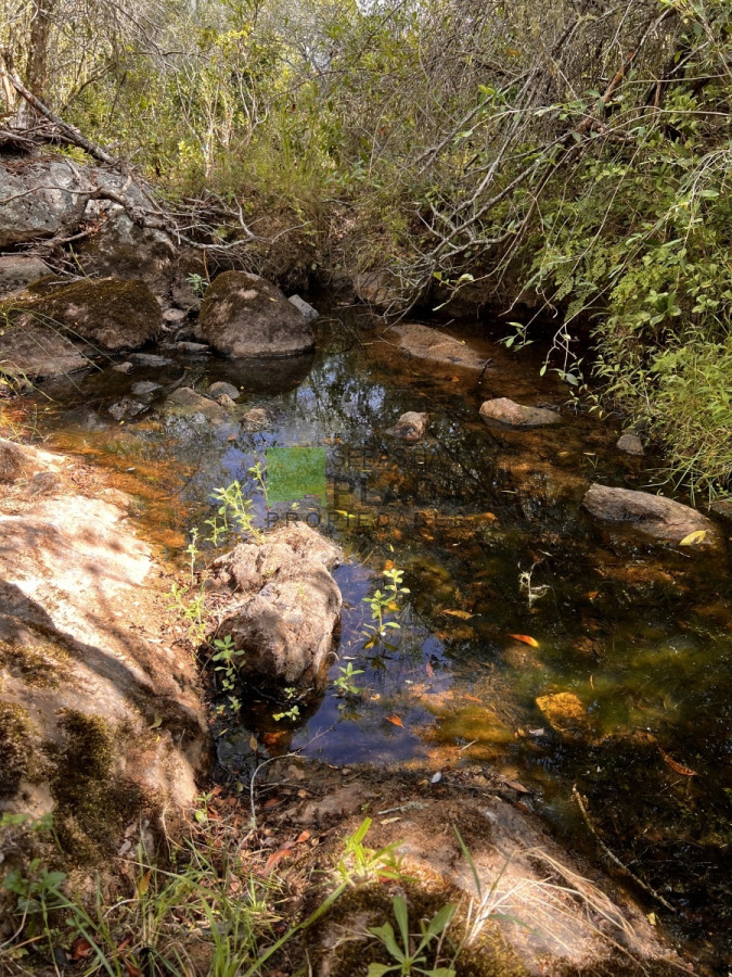 Campo Ref.750 - Interesante fracción de 128 Hás en Las Cañas
