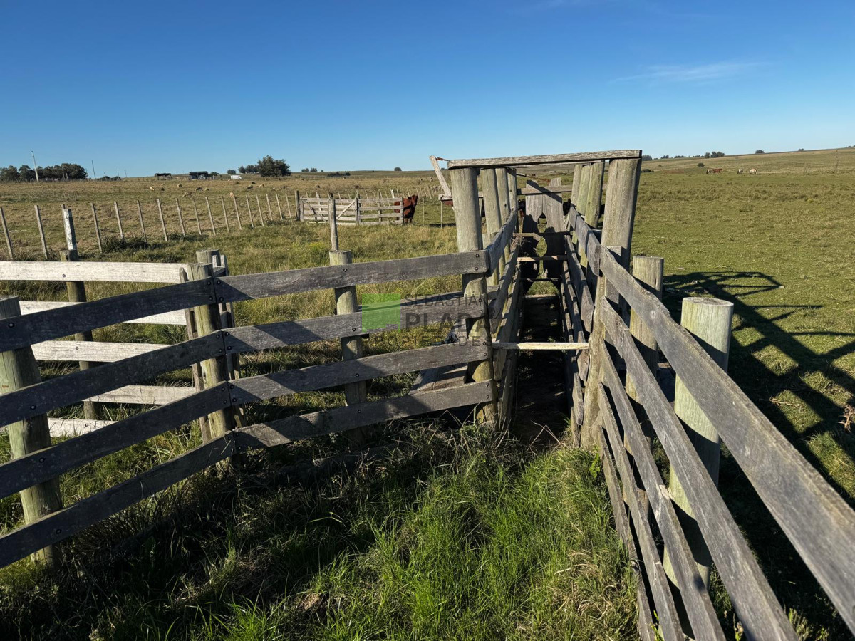 Campo Ref.993 - Fracción de Campo - 15 Hás - Cañada Bellaca