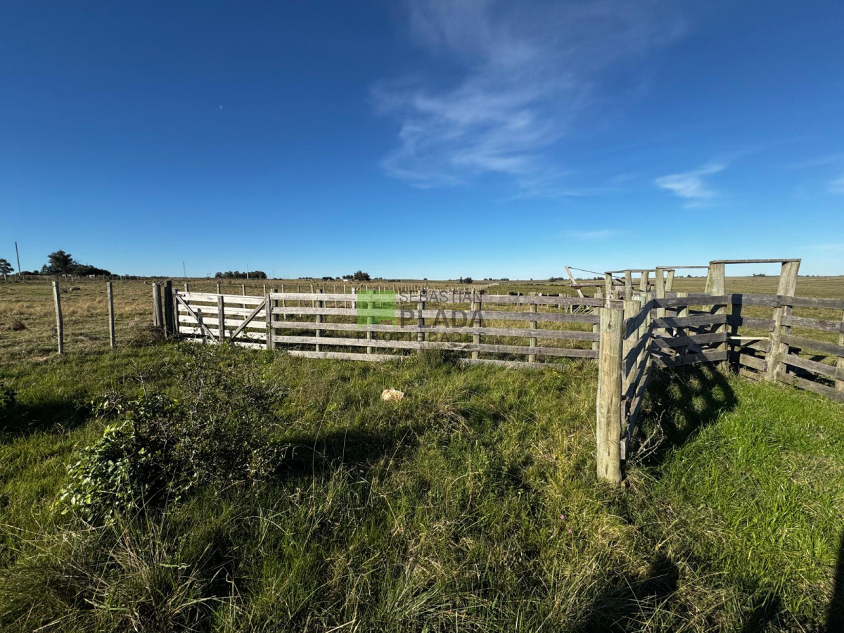 Campo Ref.993 - Fracción de Campo - 15 Hás - Cañada Bellaca