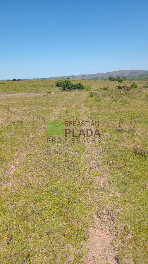 Campo Ref.1006 - 65 Hás sobre Ruta 39, con casco y arroyo