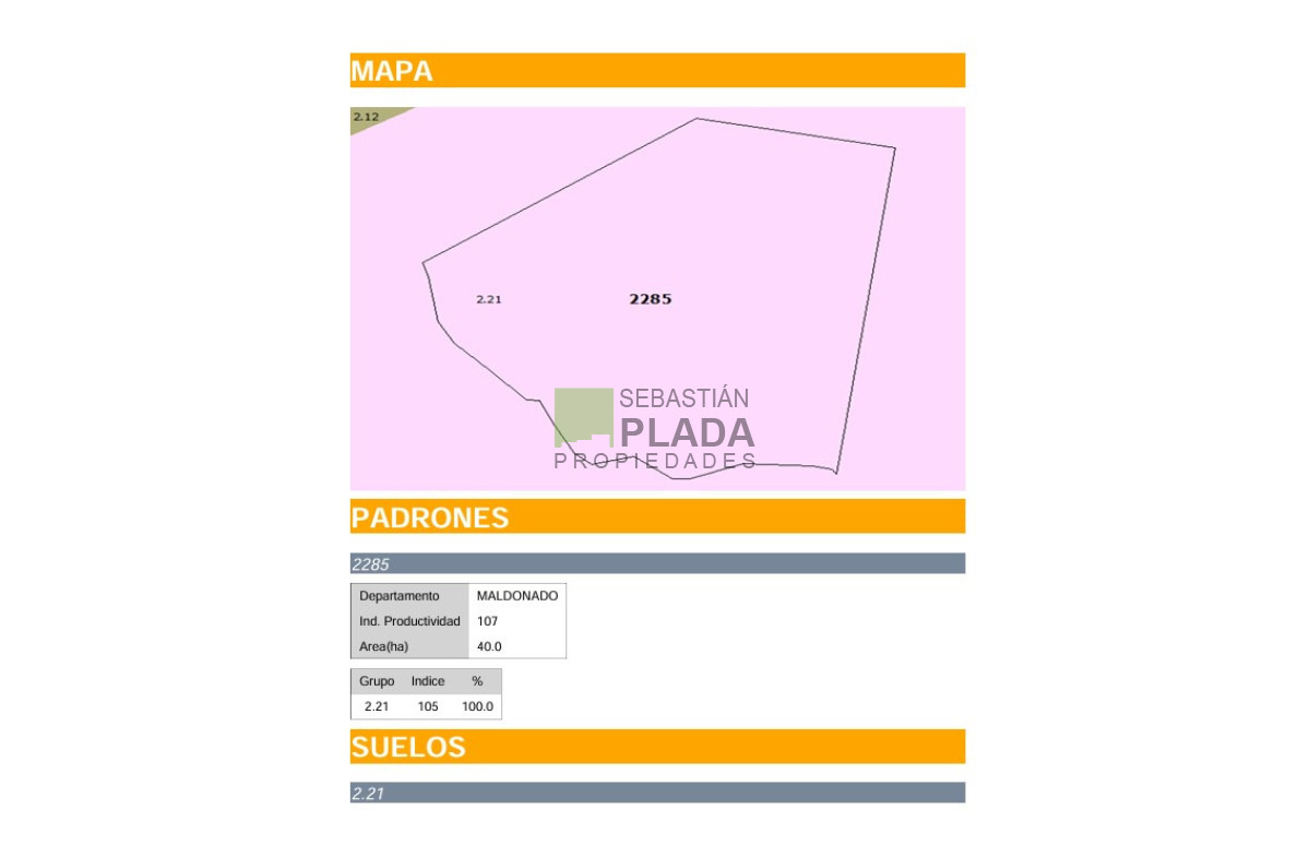 Campo Ref.1036 - 40 Hás en Garzón sonre Asfalto a 3.5 km  del Pueblo