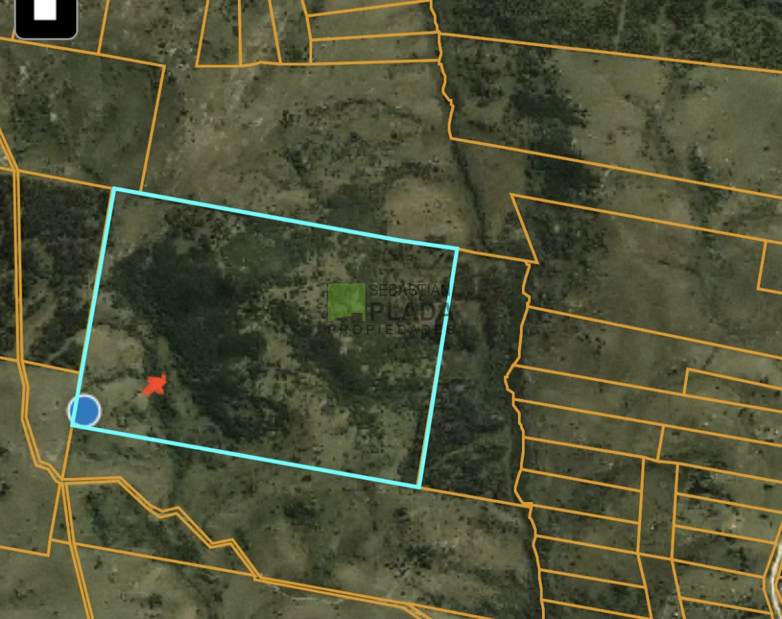 Campo Ref.750 - Interesante fracción de 128 Hás en Las Cañas