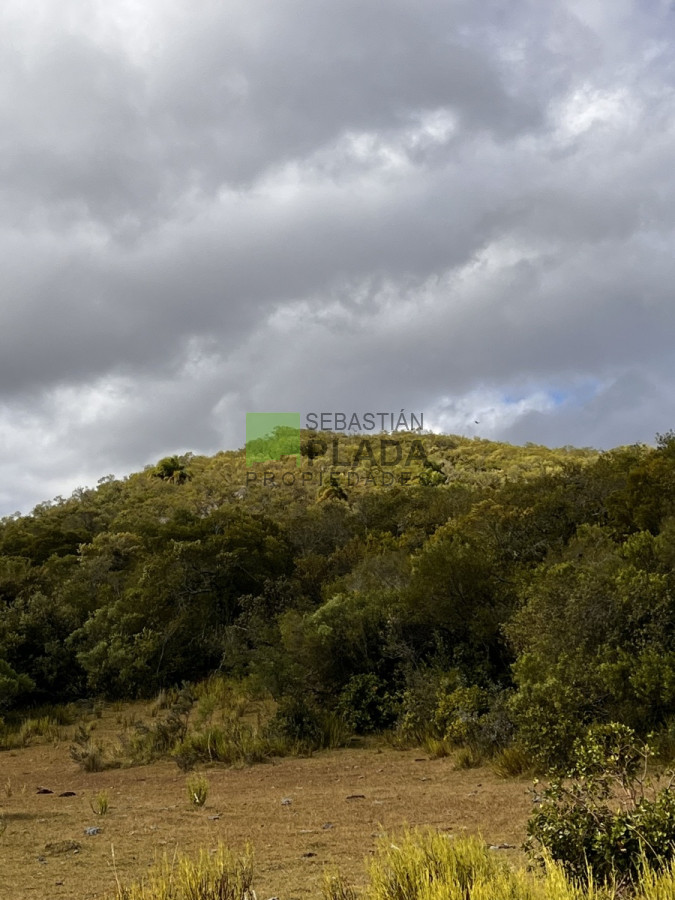 Campo Ref.750 - Interesante fracción de 128 Hás en Las Cañas